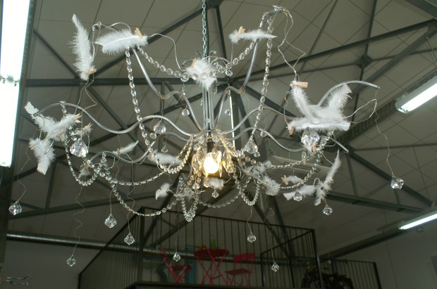 KONICA MINOLTA DIGITAL CAMERA